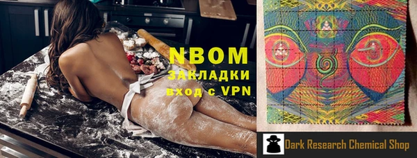 стафф Алзамай