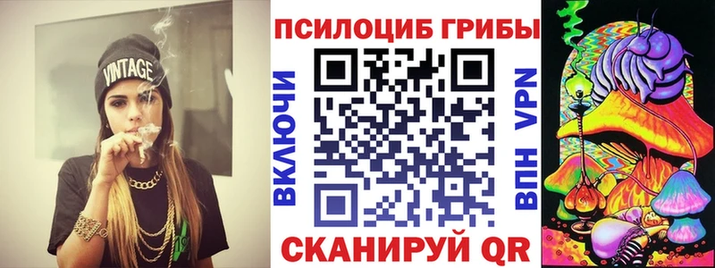 Псилоцибиновые грибы GOLDEN TEACHER Нальчик