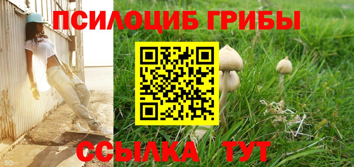 Псилоцибиновые грибы GOLDEN TEACHER Нальчик