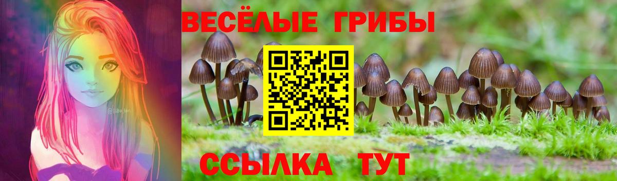 Галлюциногенные грибы прущие грибы  Вход с VPN  Нальчик 