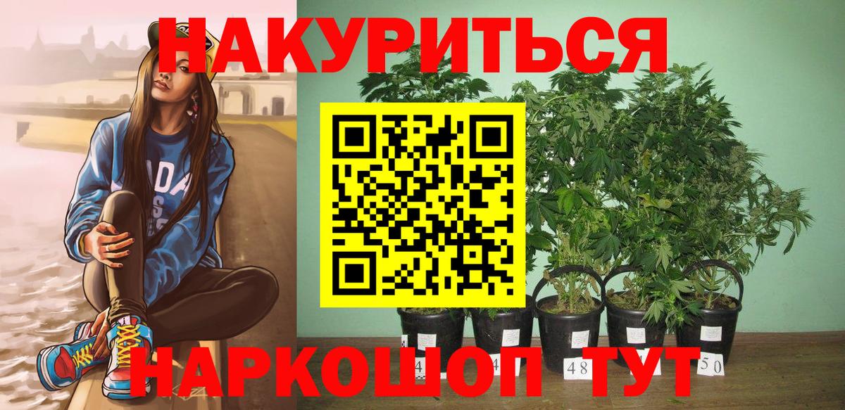 Шишки марихуана планчик Нальчик